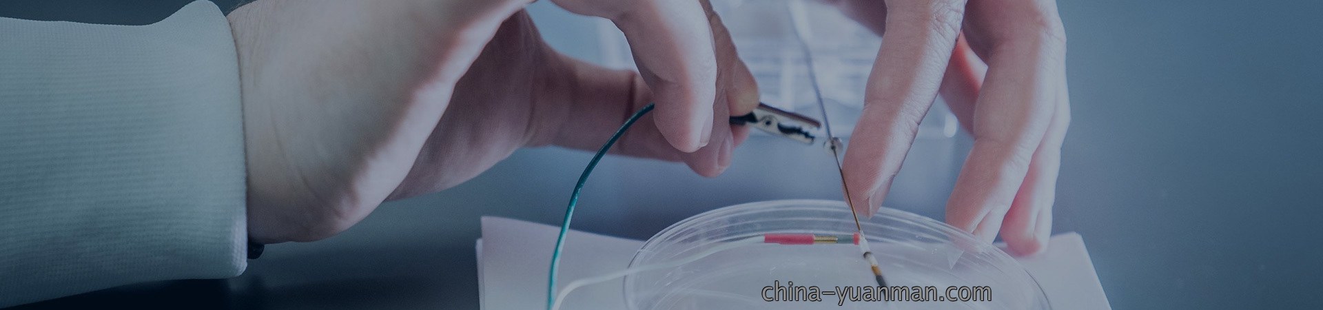 生物电极行业